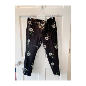 🌼🌼Banana republic Petite pants🌼🌼